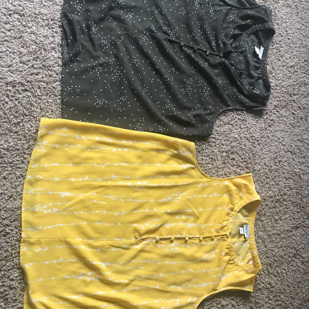 Two Ava & Viv blouses